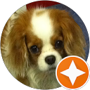 Sue Thomas profile picture